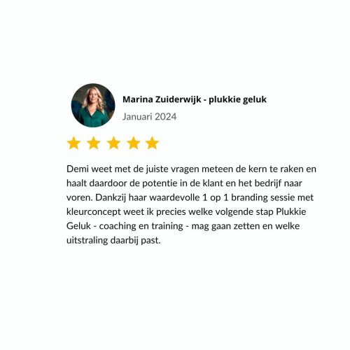 Review 1 pagina personal branding